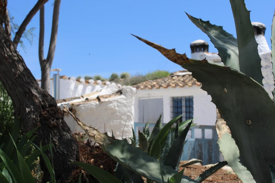 Cueva Las Yeseras House in Andalusia