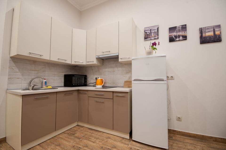Wonderful flat on city center (Mukachivska 4/11) Apartment in Slovakia