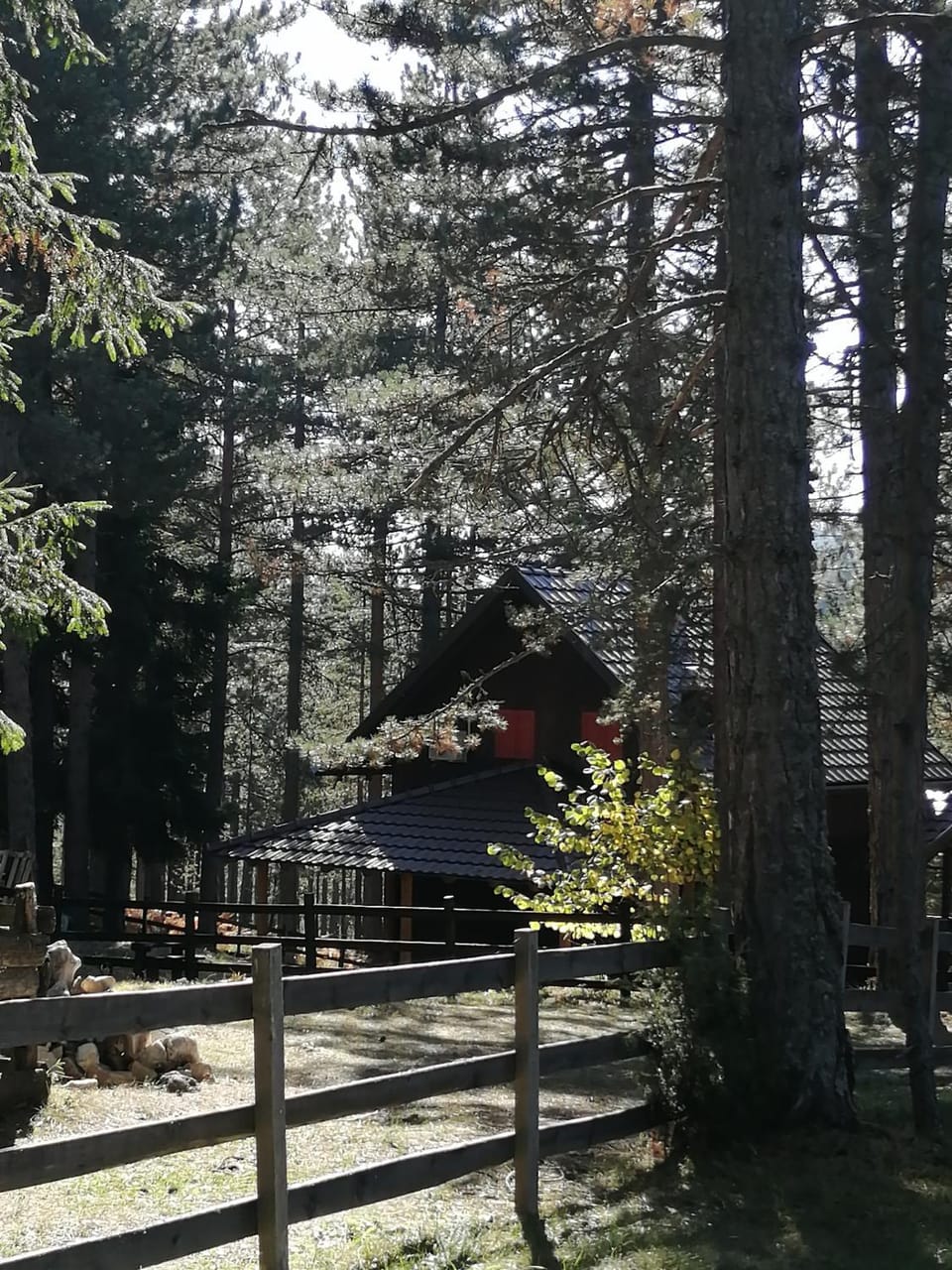 Tarski dom Nature lodge in Zlatibor District, Serbia