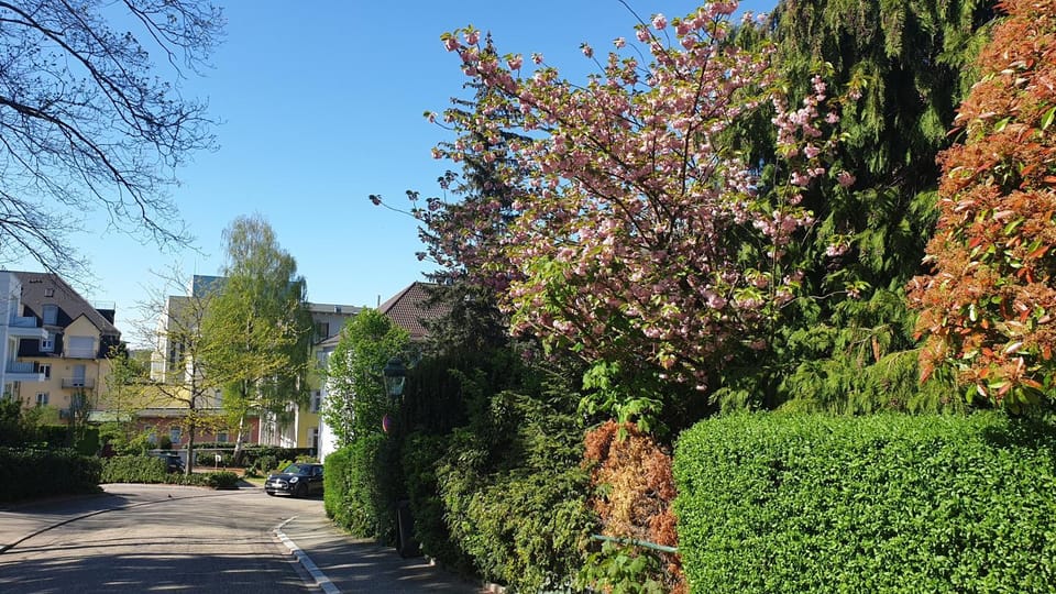 Family Suites & Parking Apartment in Baden-Baden