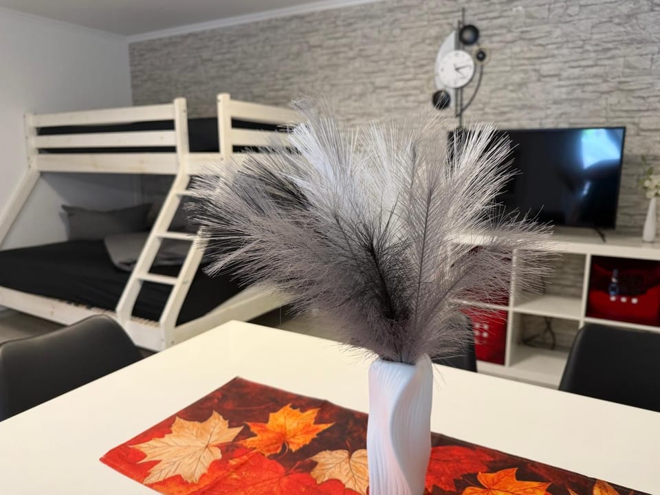 2 Zimmer Apartment am Europapark - auf Wunsch klimatisiert für 10,-Aufpreis pro Nacht Apartment in Rust
