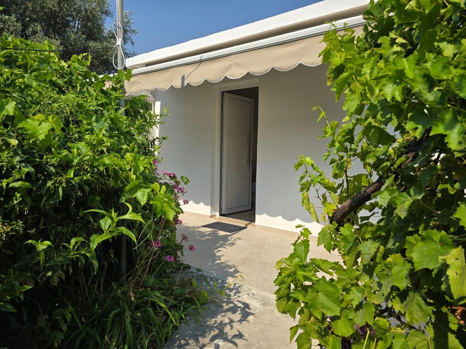 Property building, Garden view