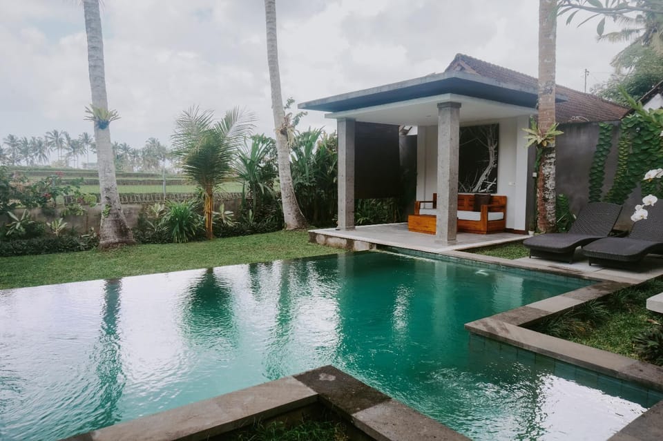 Garden, Swimming pool