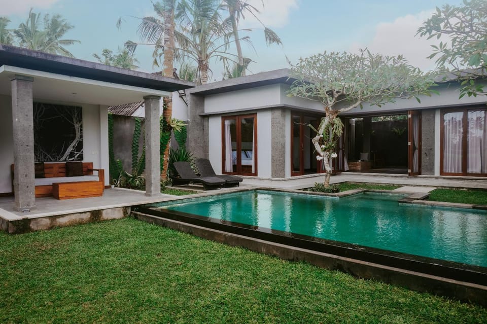 Garden, Floor plan, Swimming pool