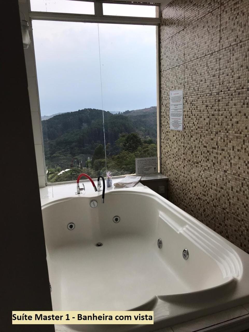 Bathroom, Mountain view