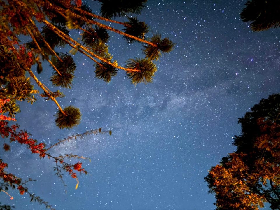 Night, Natural landscape