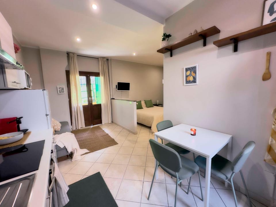 Bed, TV and multimedia, Kitchen or kitchenette, Living room, Photo of the whole room, Seating area, Dining area, Bedroom