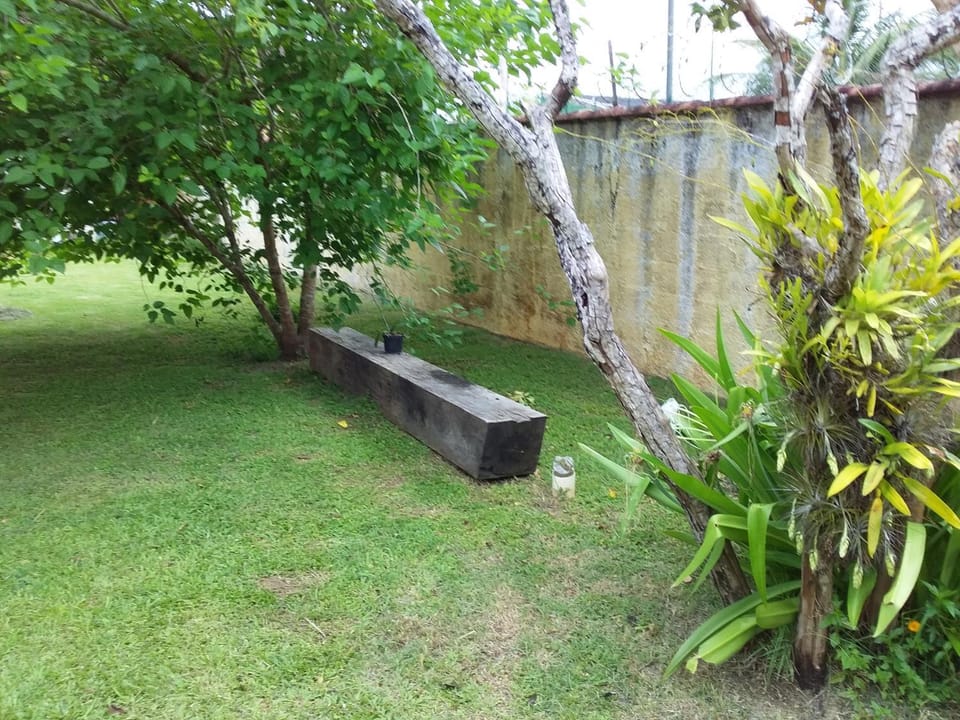 Natural landscape, Garden view