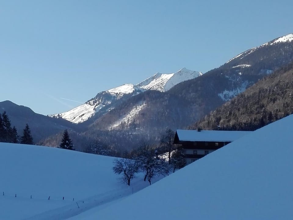 Mountain view