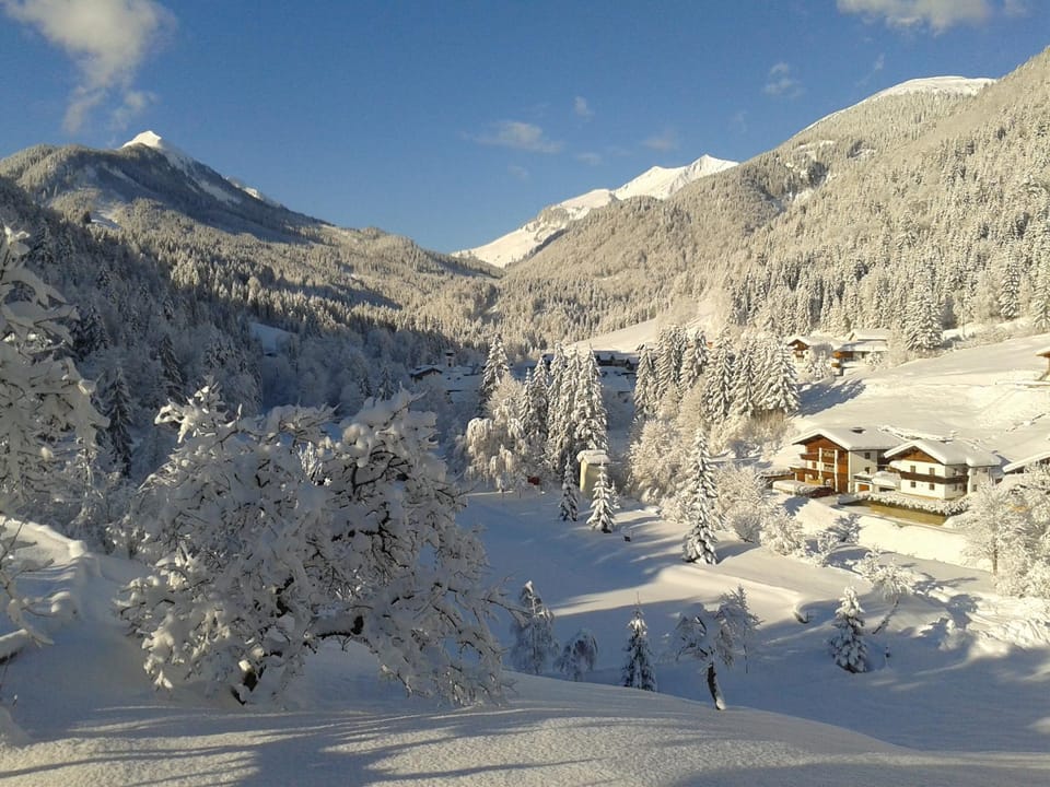 Winter, Mountain view