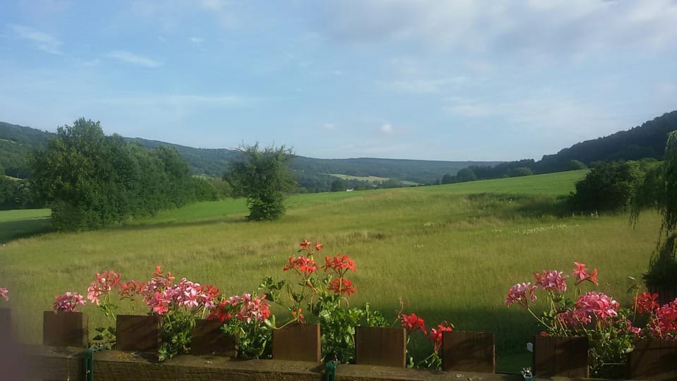 Ferienwohnung Csilla Apartment in Thuringia, Germany