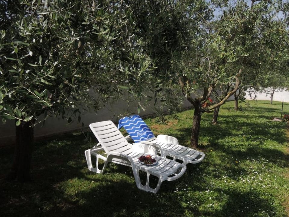 Patio, Garden, Garden view