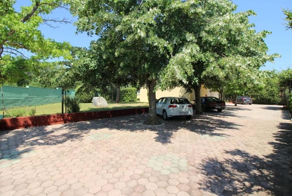 Patio, Garden, Garden view