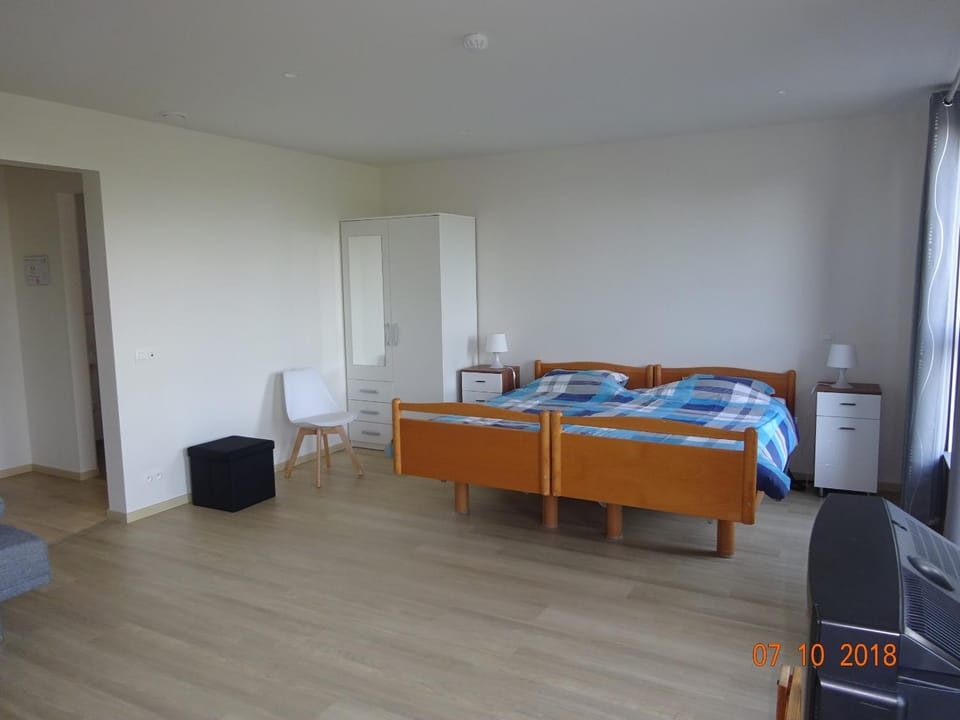 Photo of the whole room, Facility for disabled guests