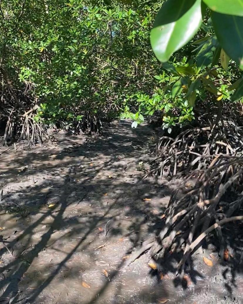 Natural landscape