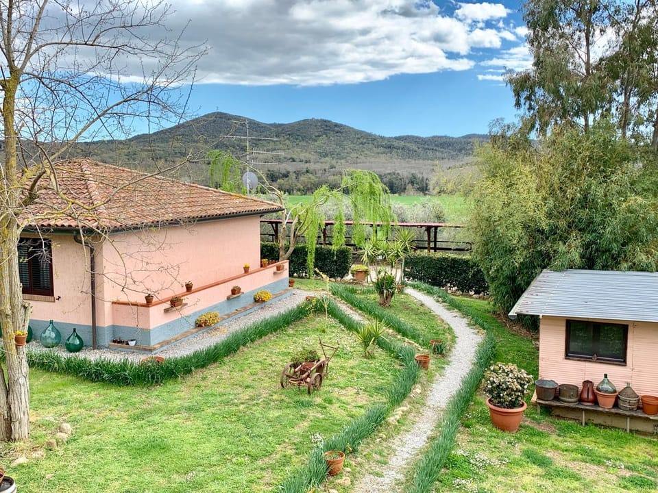 Garden view