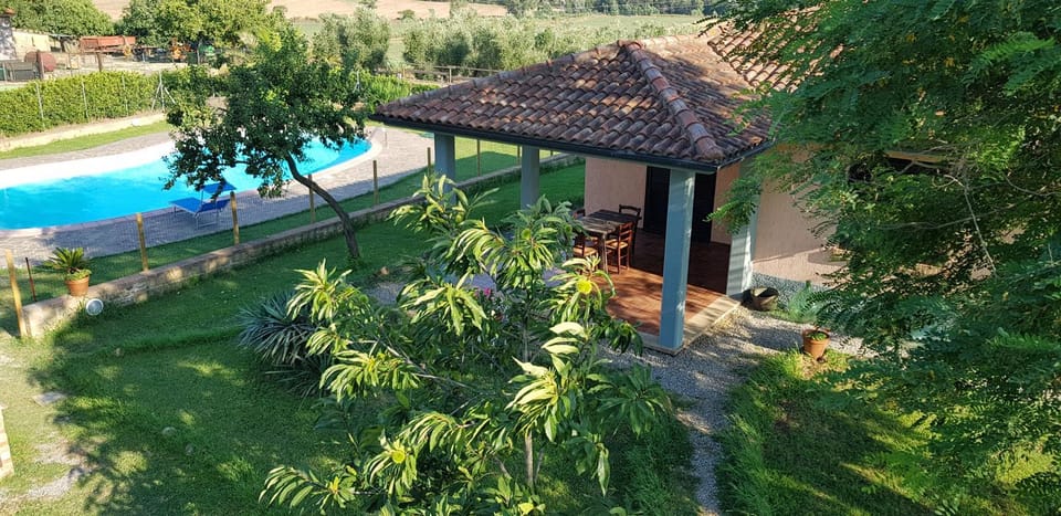 Pool view