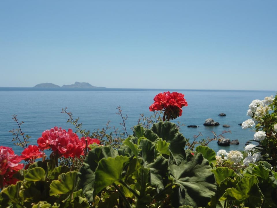 Day, Summer, View (from property/room)