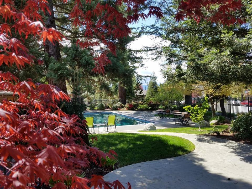 Pool view, Swimming pool