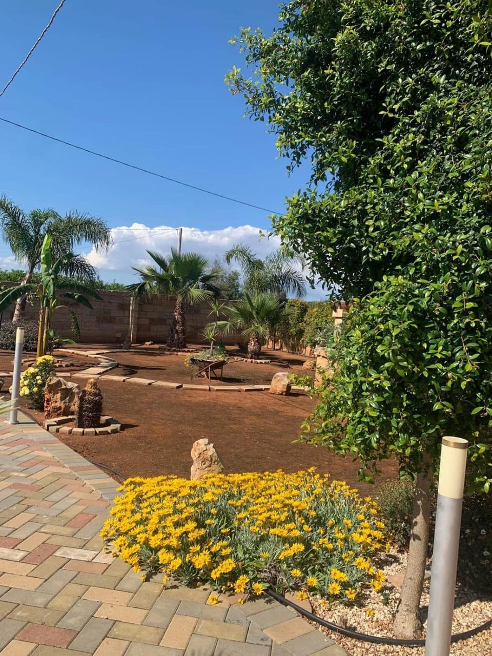 Garden view
