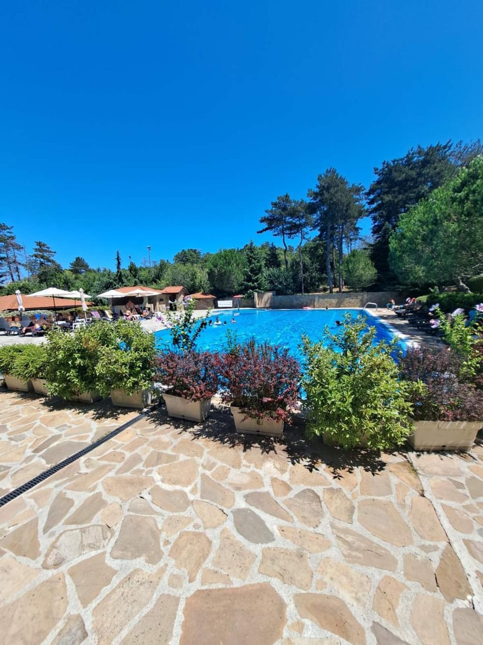 Pool view, Swimming pool