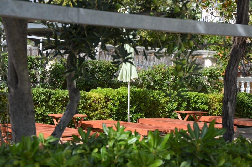 Patio, Garden, Balcony/Terrace