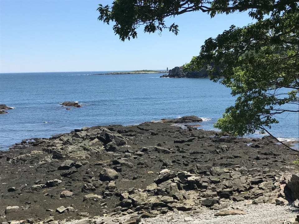 Day, Natural landscape, Summer, Beach, Beach, On site