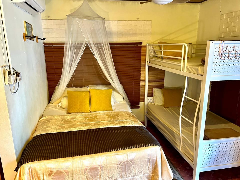 Bed, Photo of the whole room, bunk bed