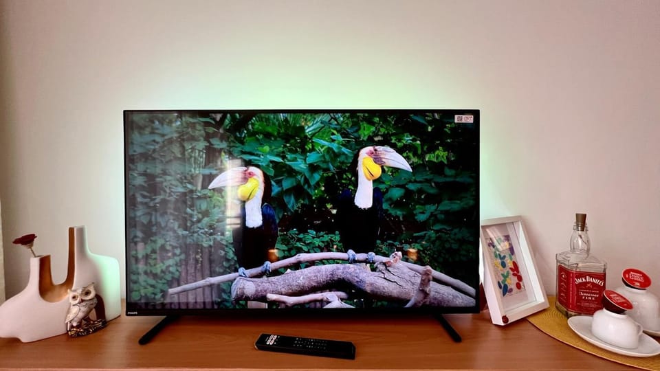TV and multimedia