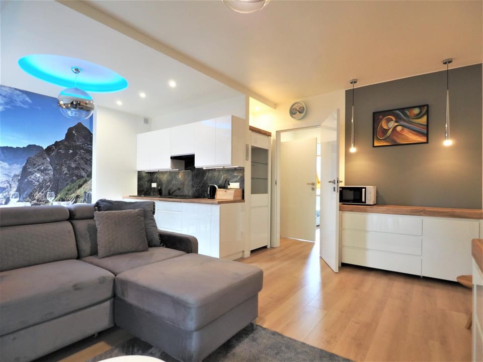 Kitchen or kitchenette, Living room