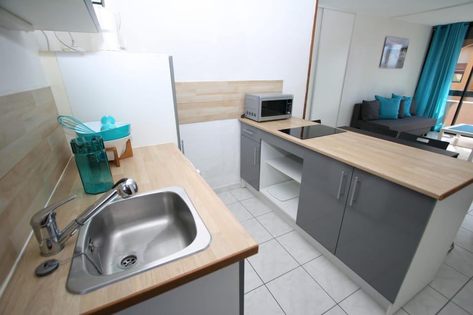 Front de Mer, WIFI, 4 couchages, très grand et joli appartement studio Apartment in Le Barcarès