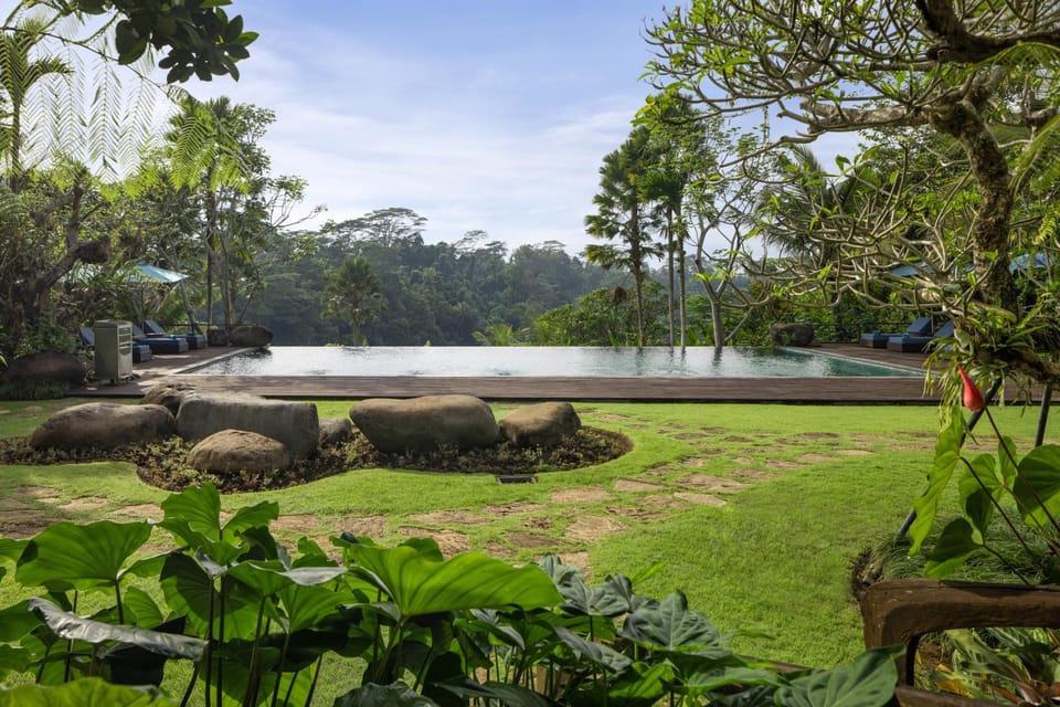 Nearby landmark, Natural landscape, Garden, Garden view, River view