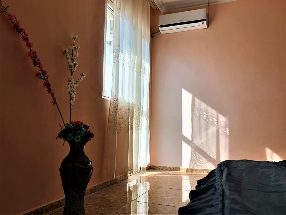Living room, Seating area, air conditioner