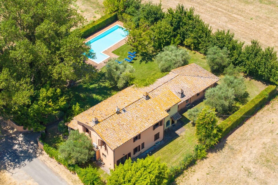 Bird's eye view, Garden, Garden view, Swimming pool, sunbed