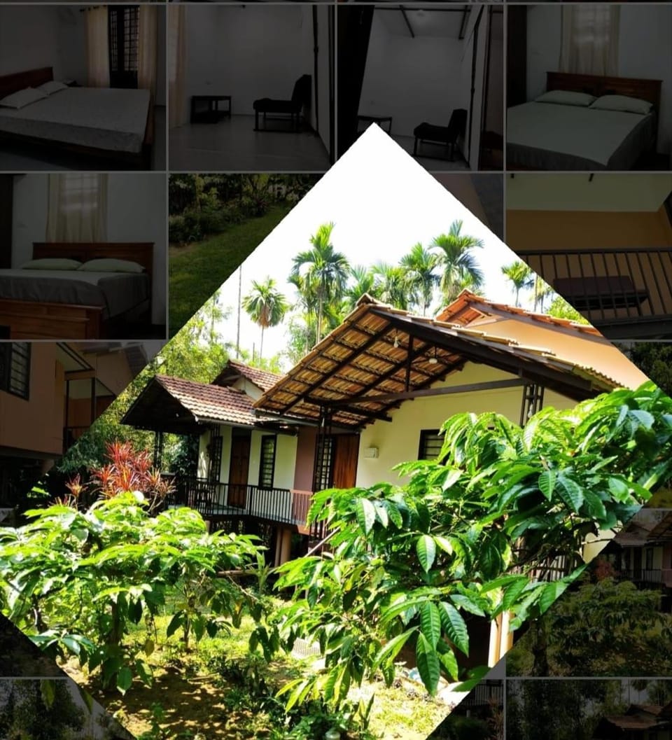 family huts Vacation rental in Kerala