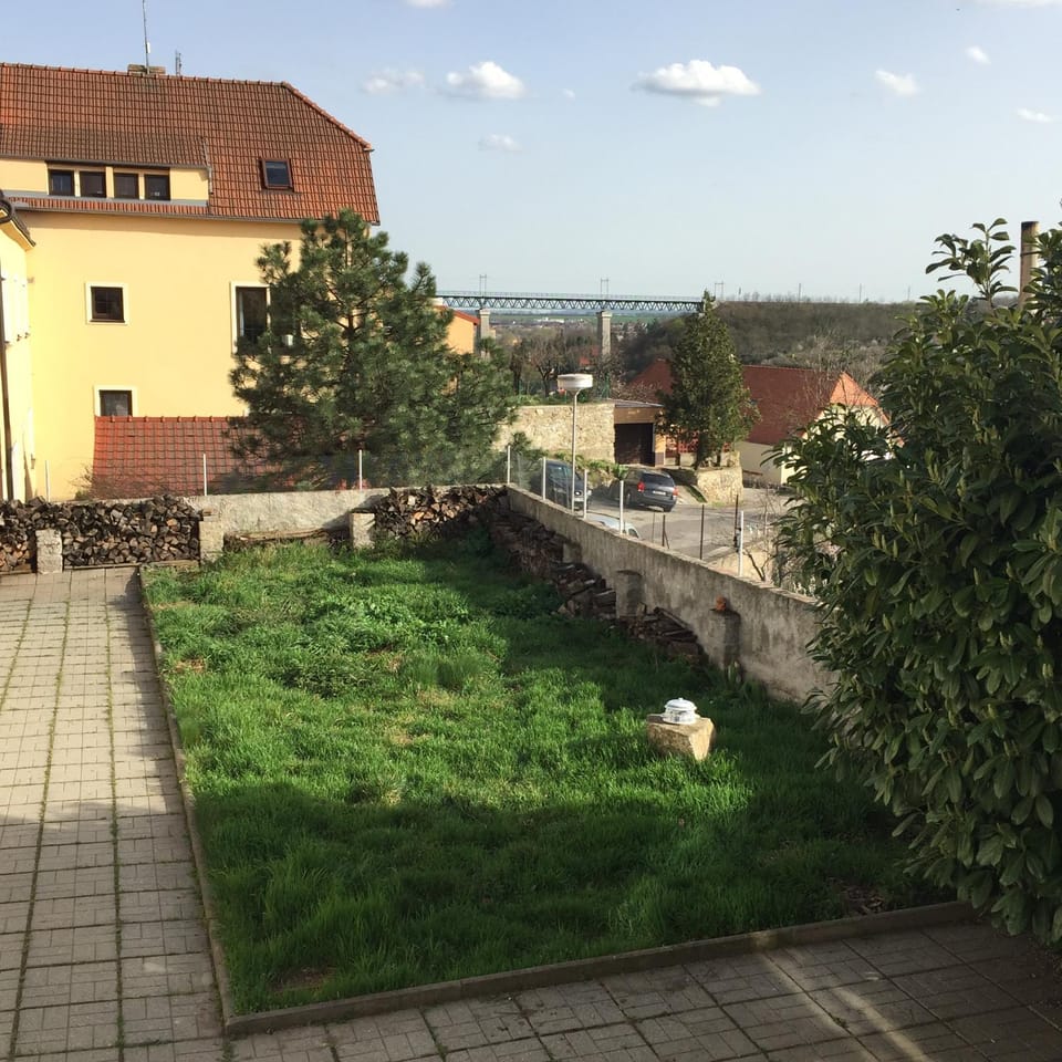 Pets, Garden view