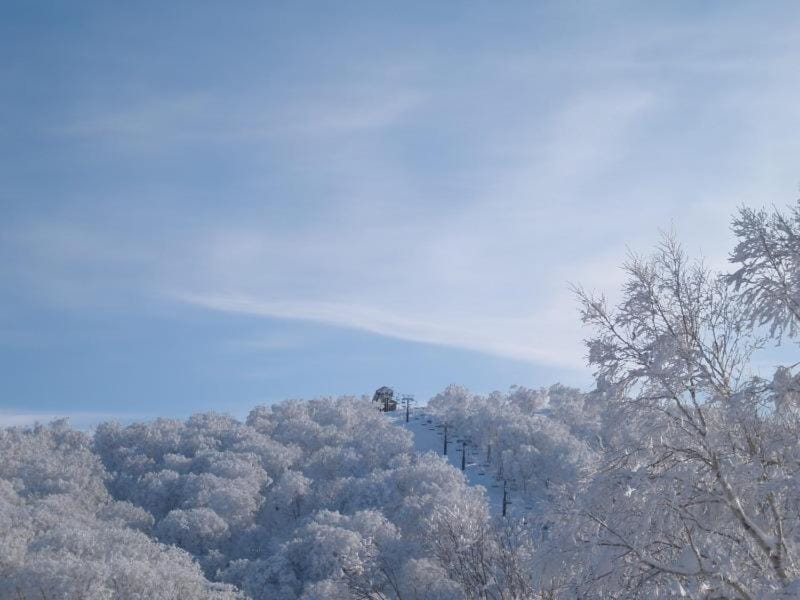 Lodge Matsuya Bed and Breakfast in Nozawaonsen