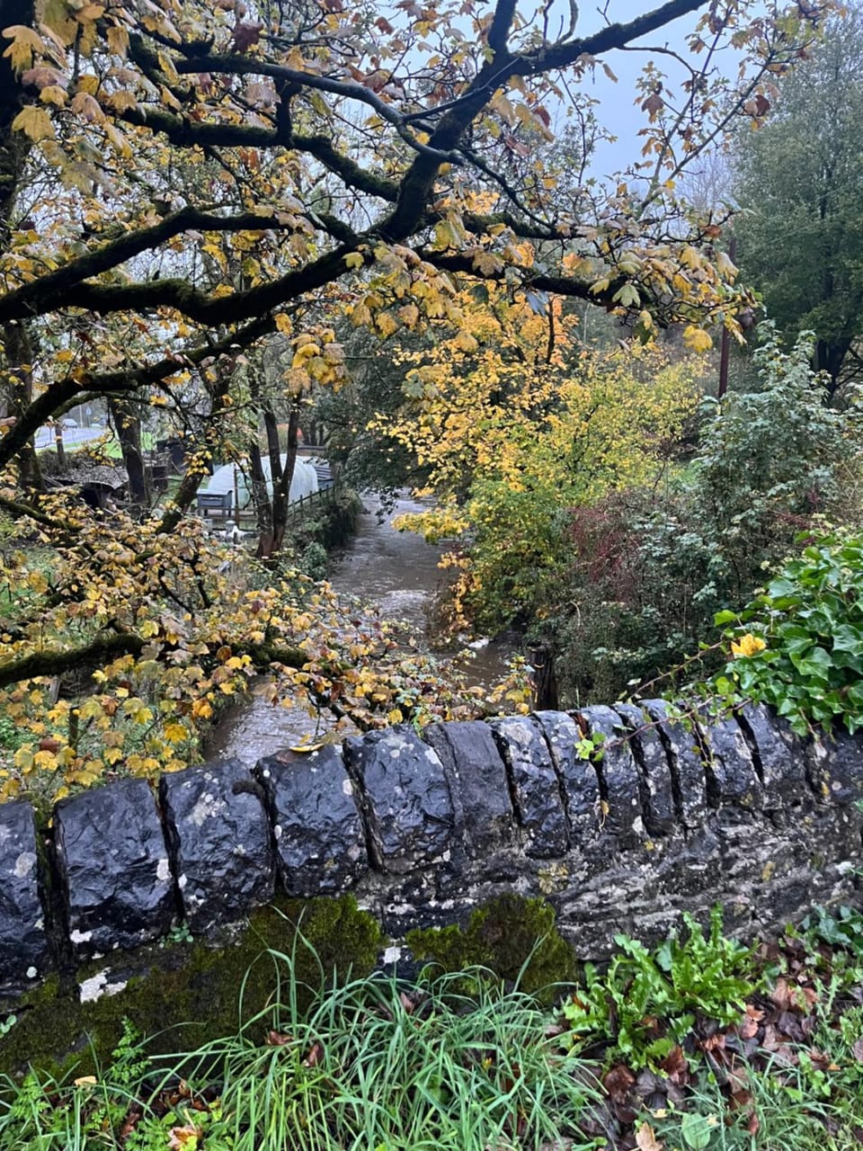 Natural landscape