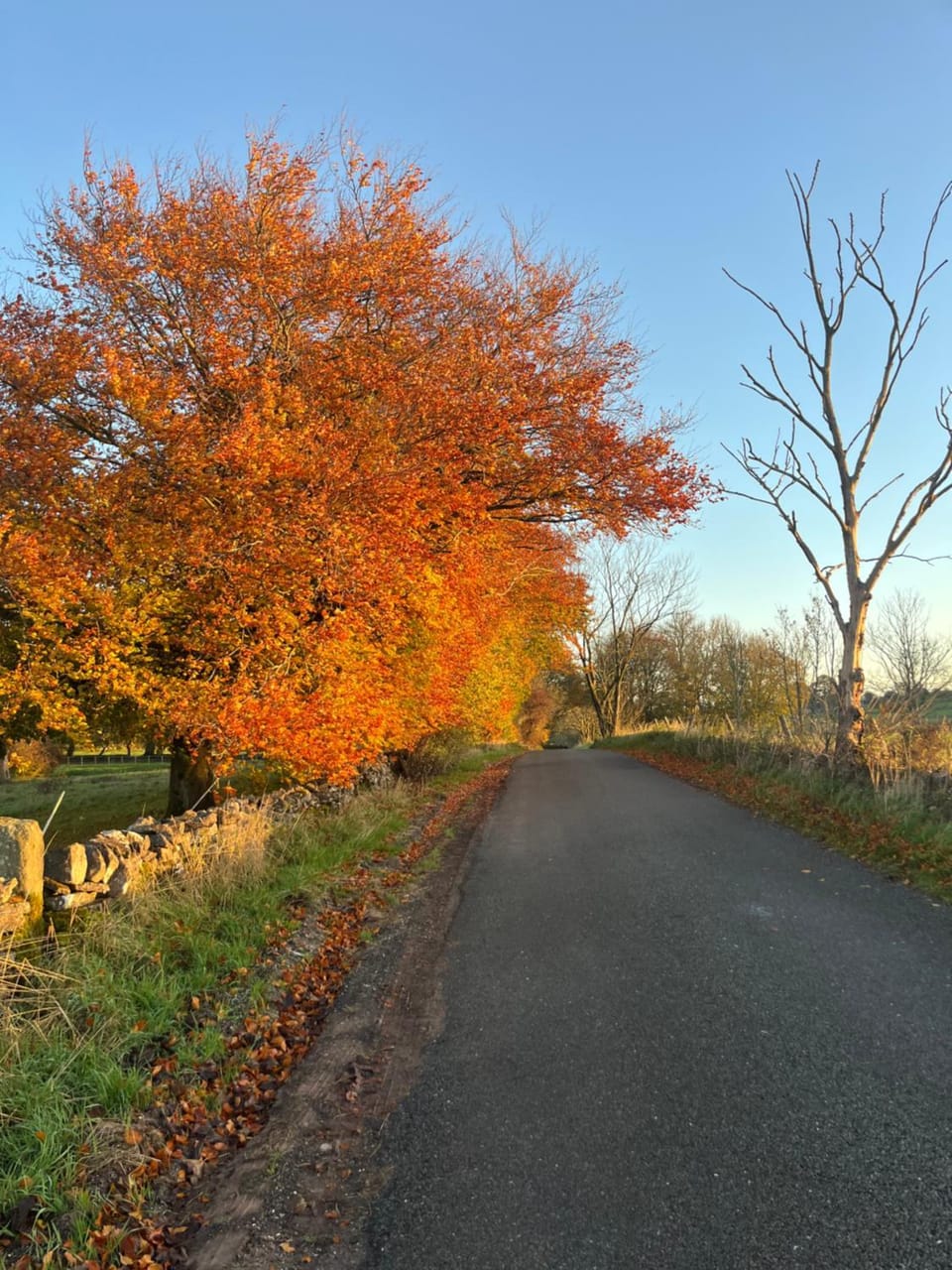 Waterside Cottages House in Staffordshire Moorlands District