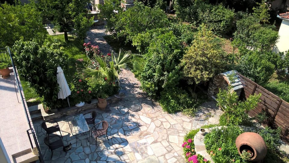 Garden view