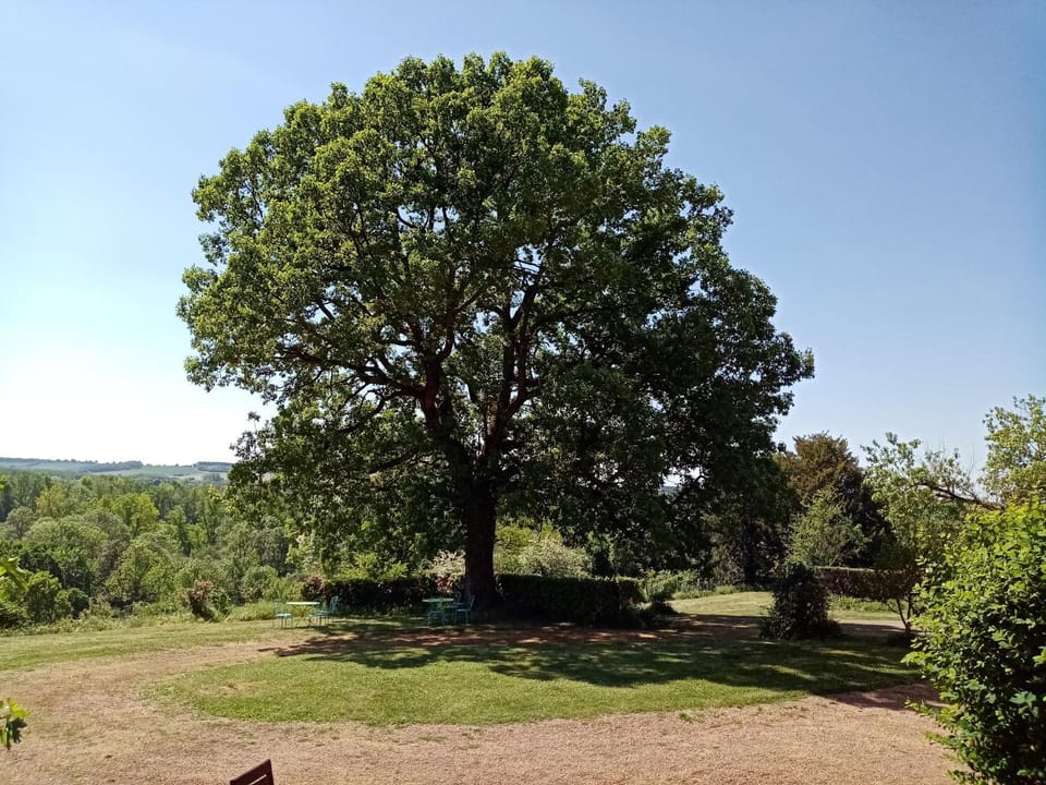 Les Indrins Bed and Breakfast in Bourgogne-Franche-Comté