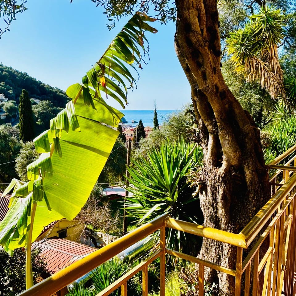 Spring, Garden, Sea view