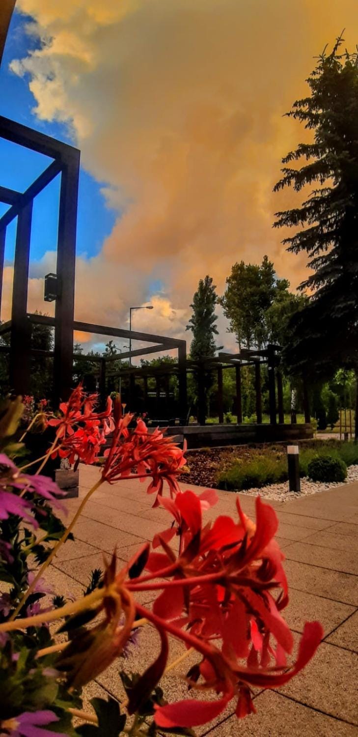 Hotel Amelia Hotel in Greater Poland Voivodeship
