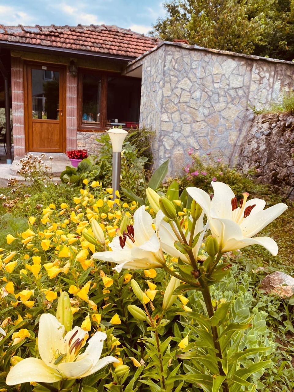Property building, Garden, Garden view