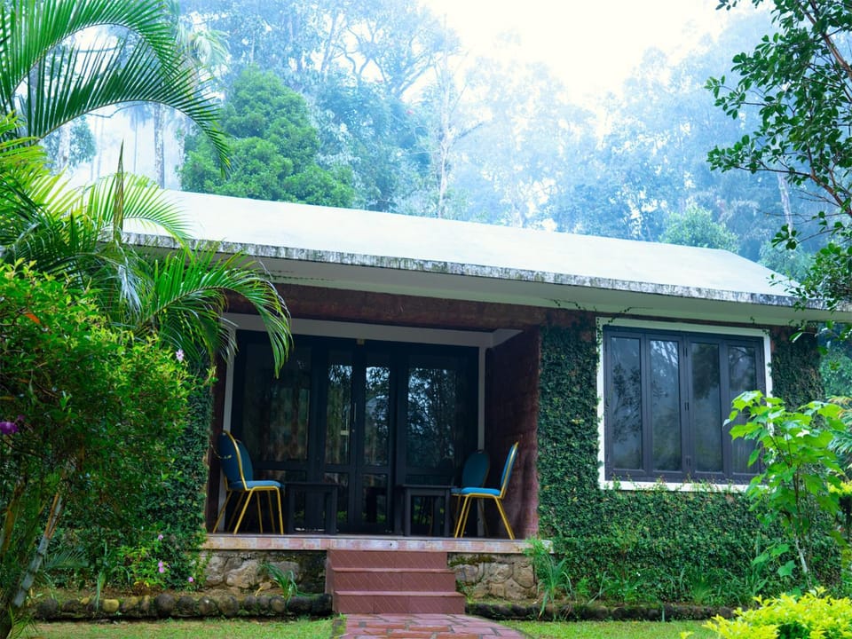 Property building, Patio, Garden, Garden view