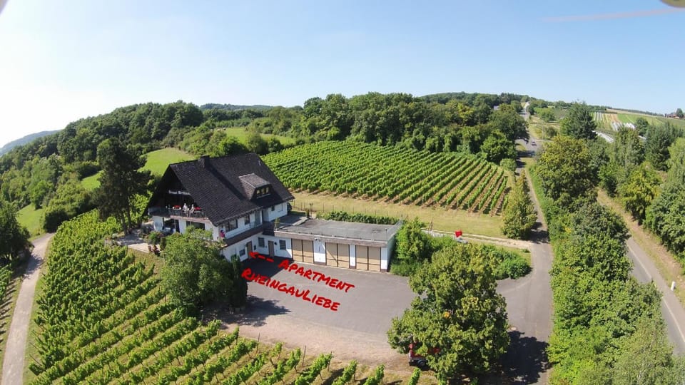 Property building, Bird's eye view