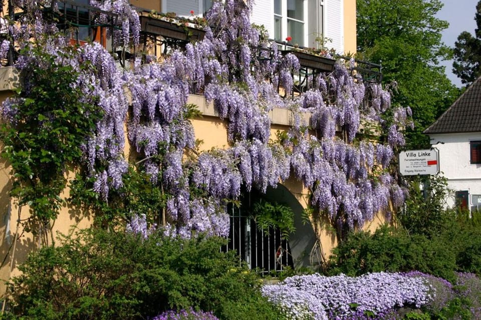 Property building, Spring