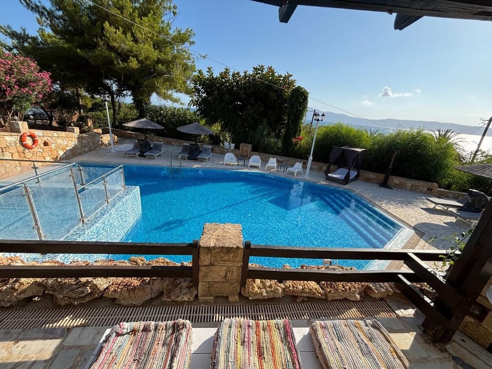 Patio, Day, Natural landscape, Pool view, Swimming pool, sunbed