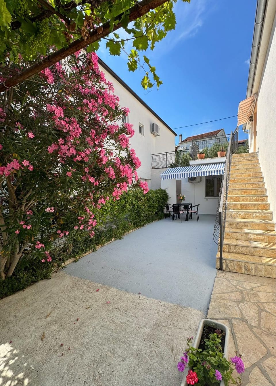 Garden view