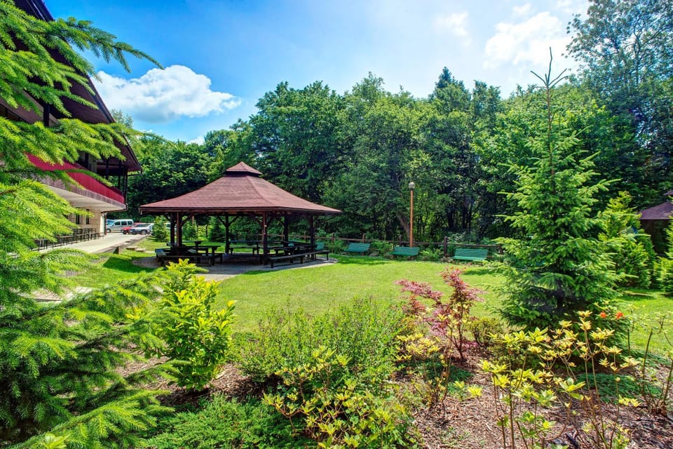 Spring, Garden, Garden view